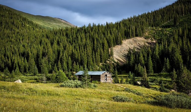 colorado, landscape, forest-1677105.jpg